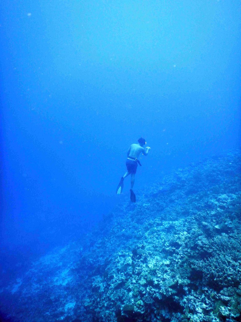 Joshua freediven